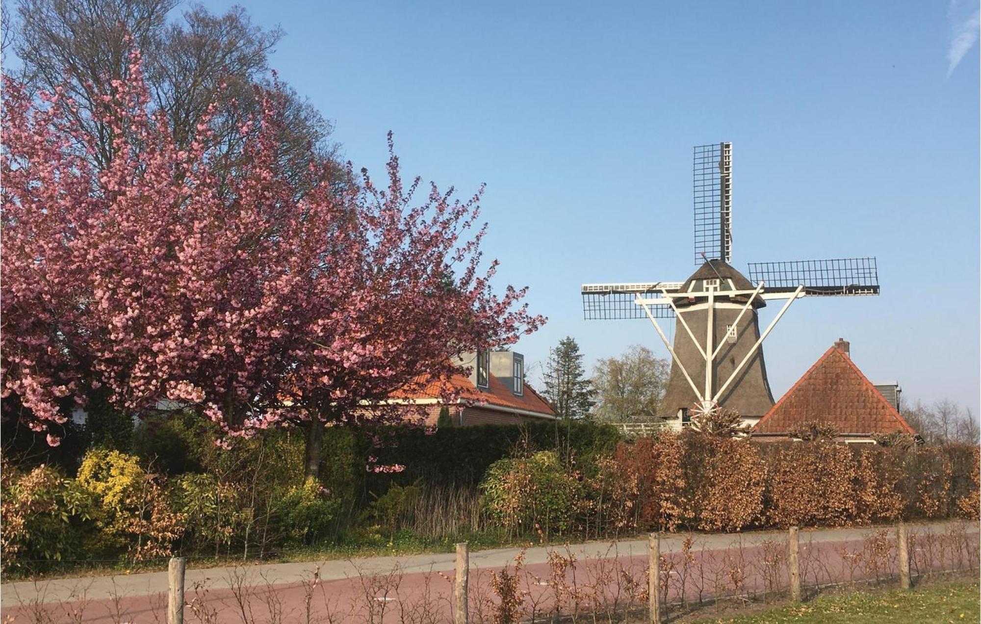 奥门Vossenhol别墅 外观 照片